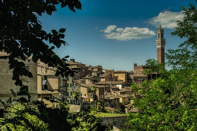 Guided Walking Tour of the Streets of Siena With Aperitif - The Sum Up