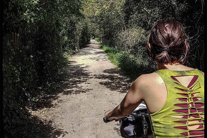 Half a Day Electric Bike Ride Around Toulouse - End Point and Return