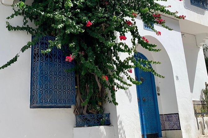 Half a Day in Sidi Bousaid From Hammamet - Tips for Visitors