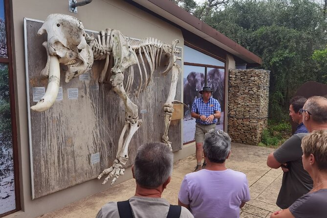 Half-Day Addo Elephant National Park - Pricing and Booking Information