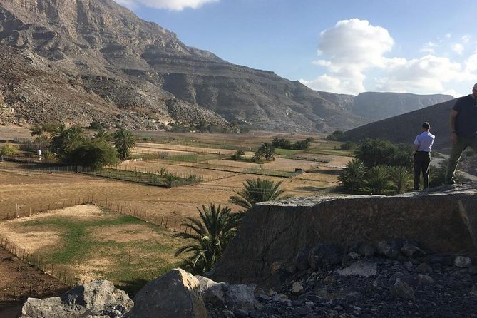 Half Day Cruise & Half Day Mountain Safari With Picnic Lunch (Shore Excursion) - Activity Highlights