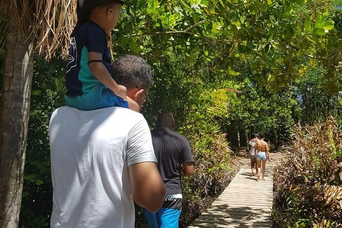 Half Day Curieuse and St Pierre Island Seychelles - Traveler Experiences