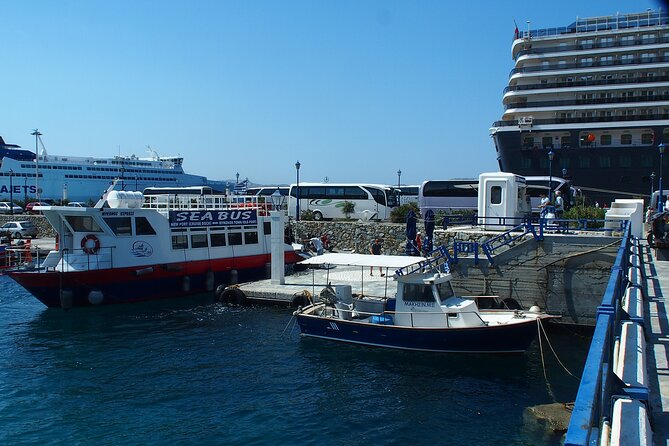 Half Day Delos Tour of Mykonos From the Cruise Ship Port - Cancellation and Refund Policy