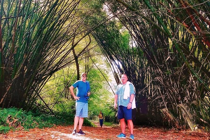 Half Day Group Tour to Tobago Atlantic Coast - Cancellation and Payment Policies