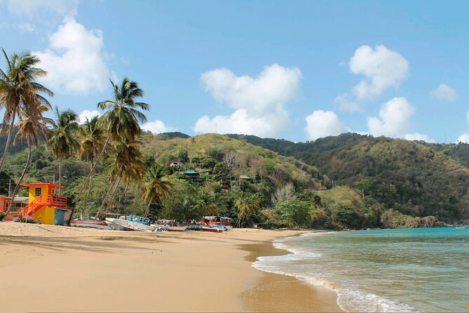 Half-Day Group Tour to Tobago Caribbean Coast - Guest Reviews and Feedback