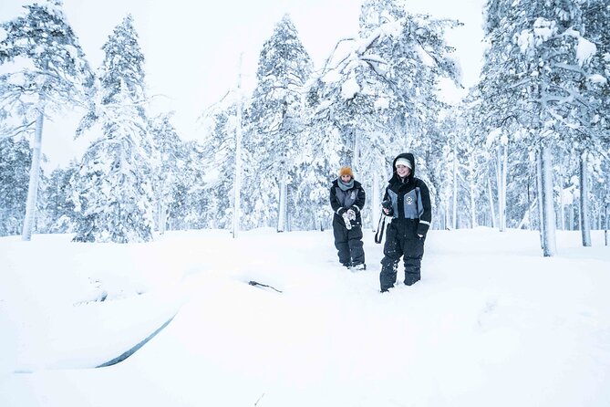 Half Day Guided Tour in the Wilderness of Levi - Feedback and Reviews