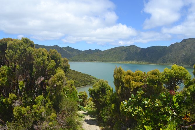 Half Day Hike Tour Lagoa Do Fogo Trail - Reviews and Ratings