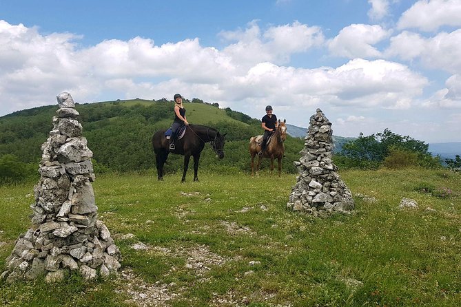 Half-Day Horseback Ride in Tuscany for Beginner Riders - Accessibility and Weight Considerations