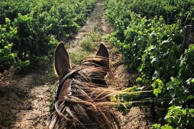 Half Day Horseback Wine Tour - Exploring the Wine Estates