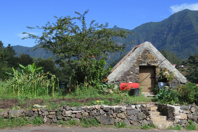 Half Day Jeep Wine Tour and Tasting, & Sea Cliff Adventure - Highlights of the Tour