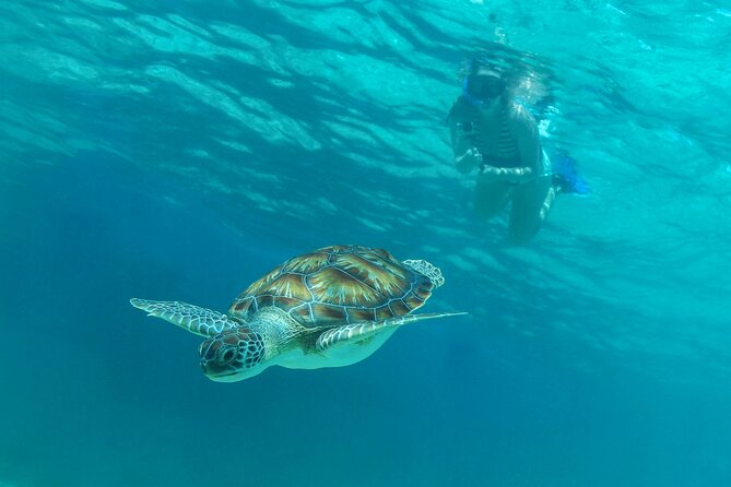 Half-Day Luxury Sailing Experience in Tulum With Open Bar - Scenic Cruising and Snorkeling
