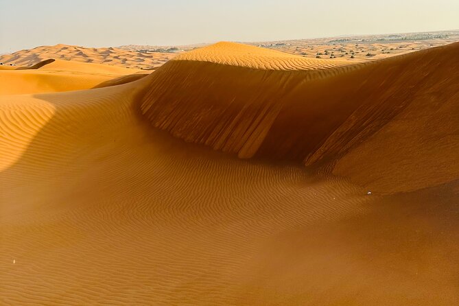 Half-Day Morning Desert Safari in Dubai - Health and Safety Considerations