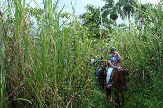Half-Day Mountain Ride in Puerto Plata - What to Expect