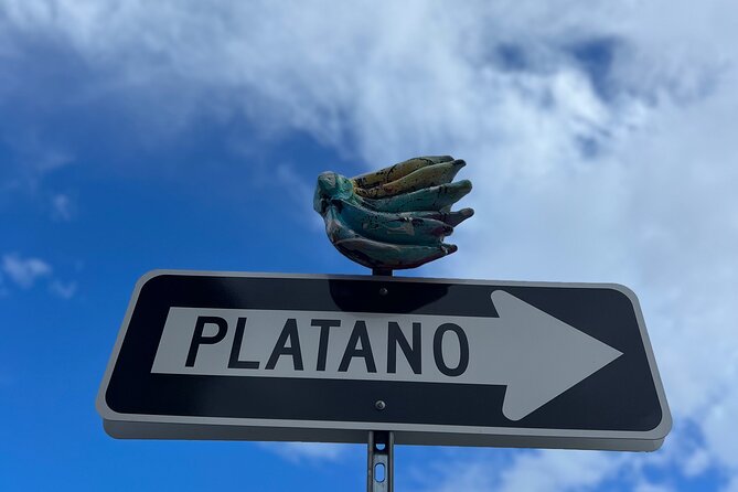 Half-Day: Old San Juan, Santurce, La Placita, Loíza & Carolina - Highlights of the Tour