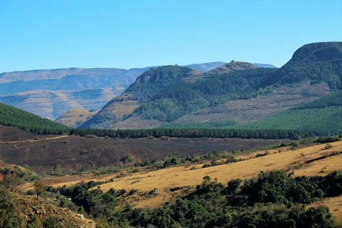 Half Day Panorama Guided Tour - Tour Duration and Capacity