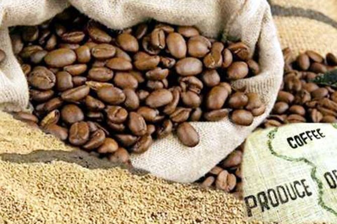 Half-Day Private Fairview Estate Coffee Farm Tour With Pick up - Booking Your Tour