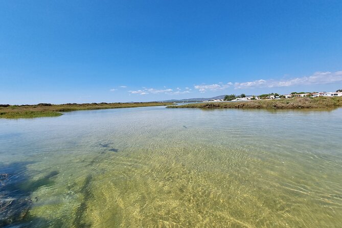 Half-Day Private Guided Kayak Island Tour - Cancellation and Booking