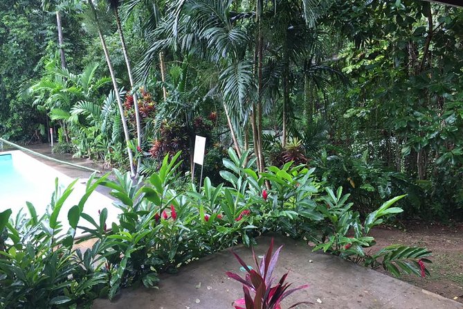 Half-Day Private Martha Brae Rafting Tour From Montego Bay - Learning About Jamaican Herbs
