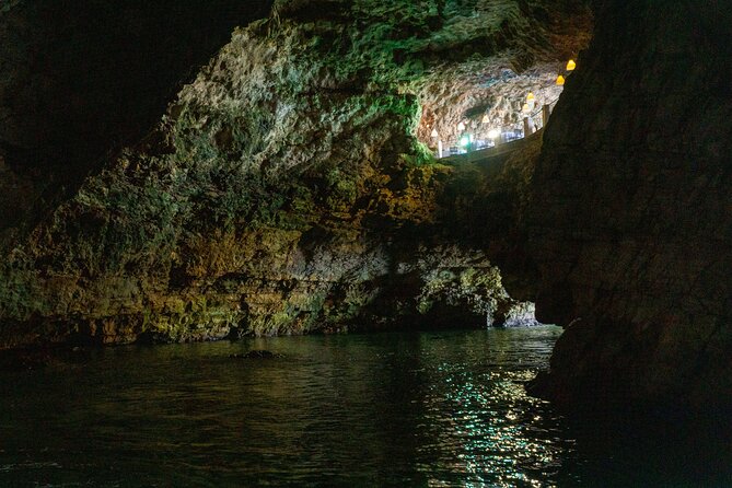Half-Day Private Tour by Catamaran in Polignano a Mare - Duration and Frequency