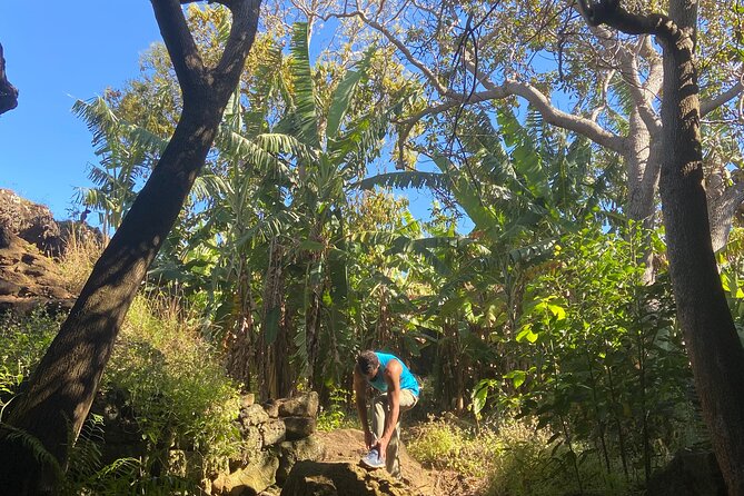 Half Day Private Tour: Caves and Volcanic Refuges - Review Highlights
