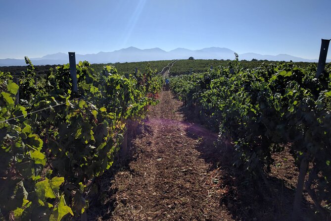 Half-Day Private Tour in Two Wineries and Archanes From Heraklion - Visiting Archanes