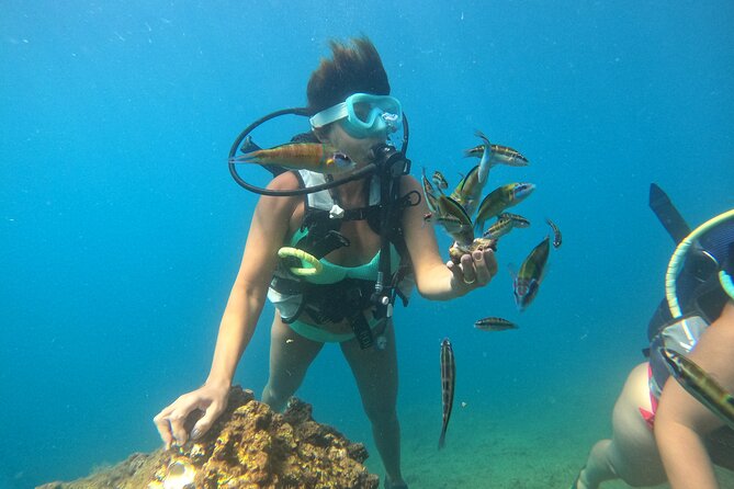 Half Day Scuba Diving @ Duden Waterfalls - Accessibility Features