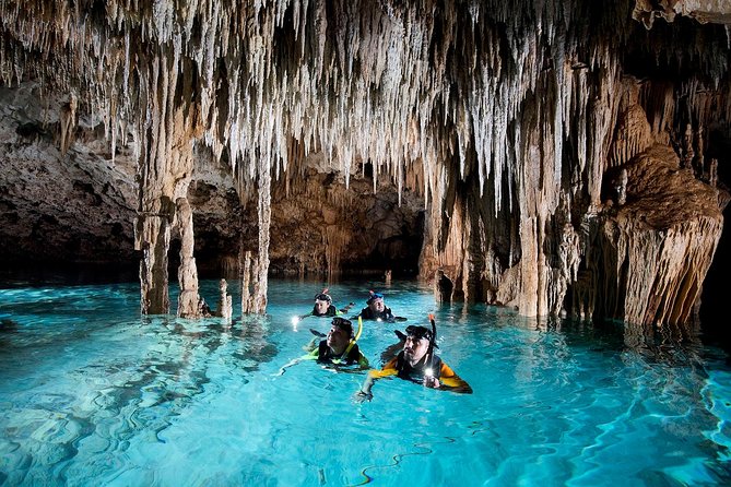 Half-Day Sea Turtle and Cenote Snorkeling Tour From Cancun & Riviera Maya - Recommendations