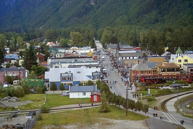 Half-Day Skagway City Tour and White Pass Summit Adventure - Customer Feedback and Ratings
