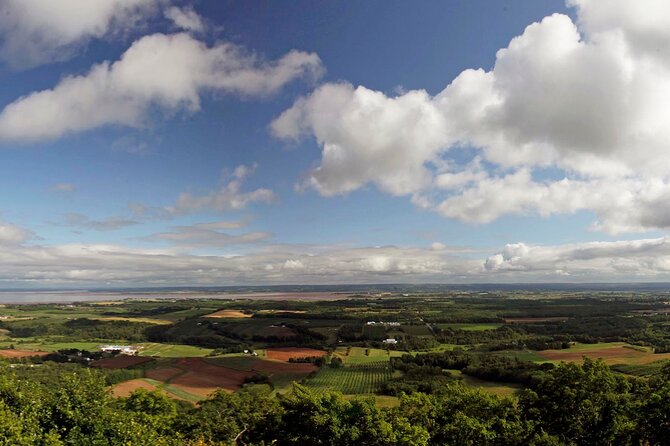 Half-Day Small-Group Tour of Annapolis Valley - Guest Reviews
