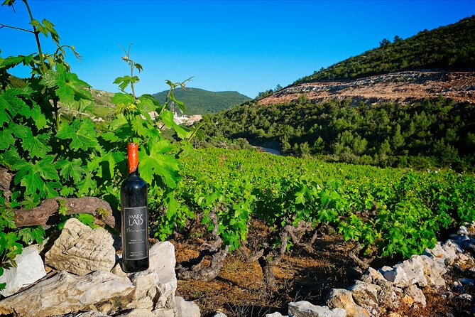 Half Day Tour - Deep and Dark Red Wine of Pelješac - Customizing the Tour Experience
