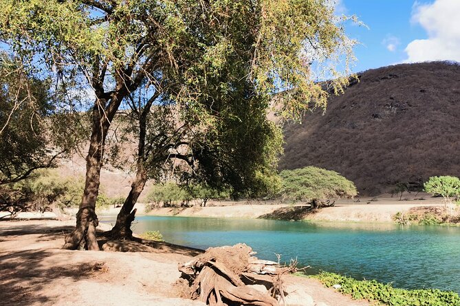 Half Day Tour - Discover Beauty of East Salalah. - Highlights of the Tour