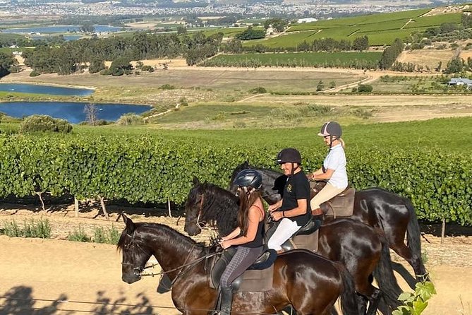 Half Day – Wine Tasting Horse Trail - Weather and Cancellation Policy