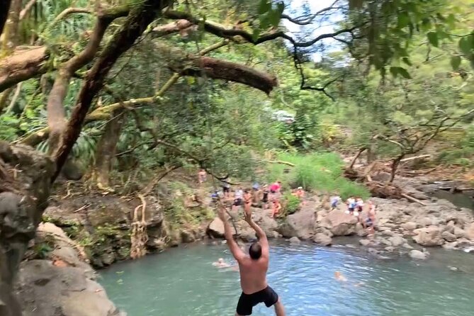 Hana Tour Incl Reservation @ Black Sand Red Sand Waterfall Jump - Accessibility Features