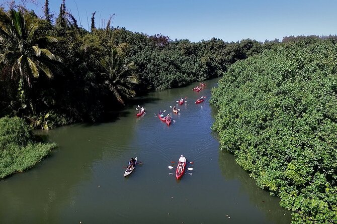 Hanalei Bay PM Kayak & Snorkel in Kauai - Common Themes