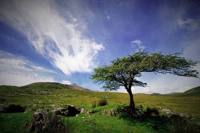Haunted Bog Road Tour. Galway. Private Guided. 3 Hours - Off-the-Beaten-Path Experiences