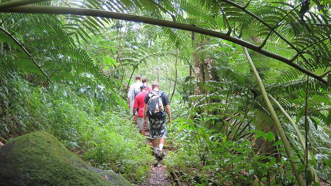 Hawaiian Waterfall Hike - Positive Experiences From Previous Hikers