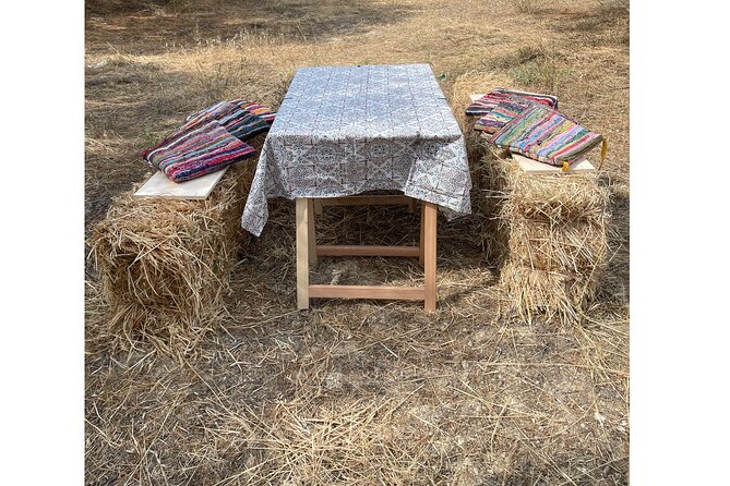 Heraklion:Olive & Dragon Fruit Farm Tour & Cretan Farmers Brunch - Positive Reviews