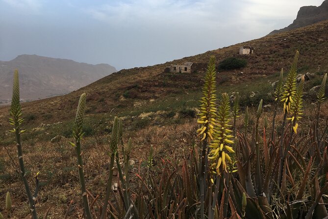 Hike Monte Verde, Natural Park, São Vicente, 3h +/- (roundtrip) - Panoramic Views