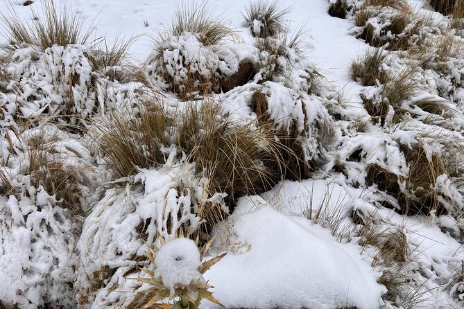 Hike Snowy Mountain Nevado Toluca (Private Tour From Mexico City) - Concerns and Complaints