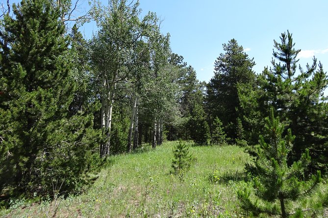 Hike the Rockies Half Day Tour - Booking and Cancellation Policy