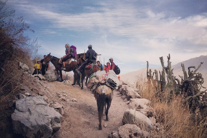 Hike - Trek Colca Canyon 2d/1n With Final in Puno - Highlights of the Canyon