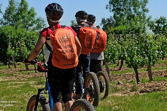 Hike Trotting 3h30 - Itinerary and Route