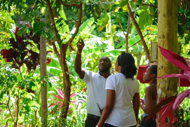 Hiking and Nature Rehabilitation Tour - Transformative Hiking Experience