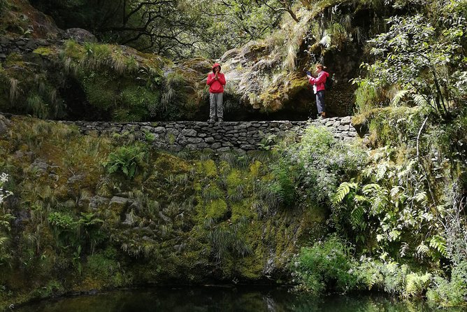 Hiking and Trekking Tours in Madeira - Transportation, Snacks, and Lunch Included