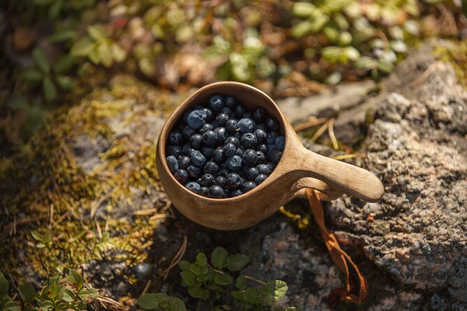 Hiking Around Forest and Lake - Tour Duration and Price