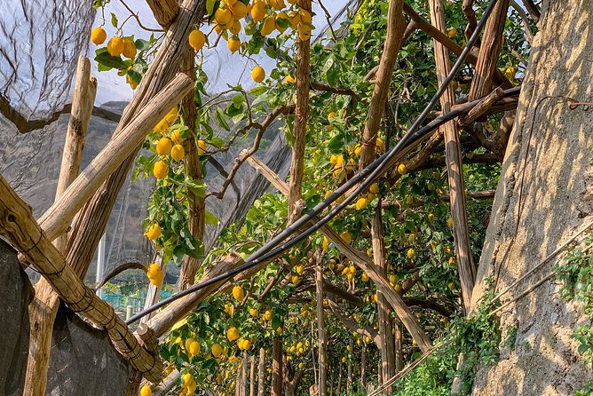 Hiking Experience - Ravello & Path of the Lemons - Lunch and Refreshment Details
