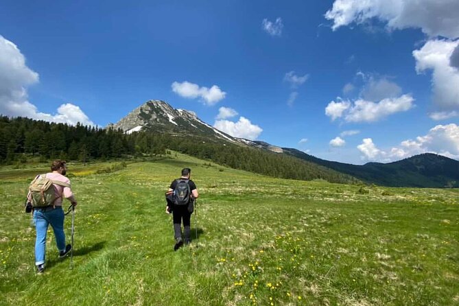 Hiking in Hajla Peak 2403m - Reaching the Summit