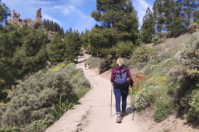 Hiking in the Sacred Mountains of Gran Canaria: UNESCO - Knowledgeable and Engaging Guides