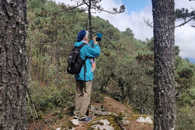 Hiking in the Sierra Norte of Oaxaca - Appreciating Local Flora and Fauna