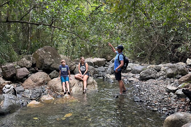 Hiking Tour and Play in Charco El Pilon - Highlights of the Tour